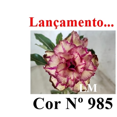 ENXERTO 11713 – 20cm (cor LM 985)
