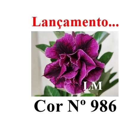 ENXERTO 12283 – 20cm (cor LM 986) - foto 11