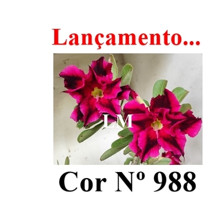 ENXERTO 11744 – 20cm (cor LM 988)
