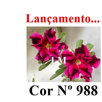 ENXERTO 12541 – 20cm (cor LM 988) - foto 8