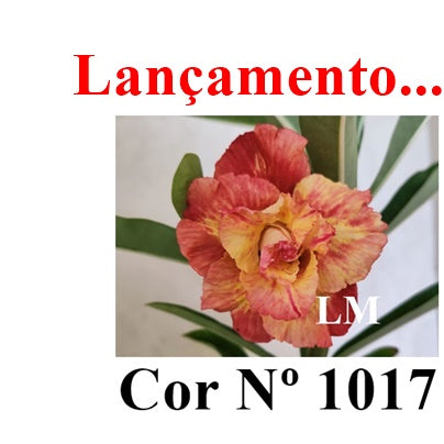 ENXERTO 12704 – 20cm (cor LM 1017)
