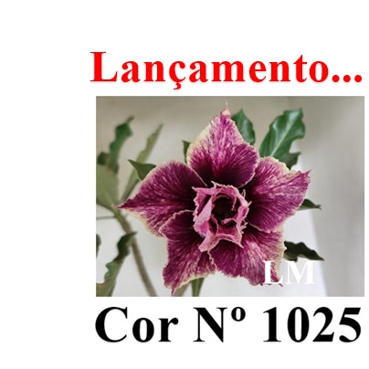 ENXERTO 12786 – 25cm (cor LM 1025)