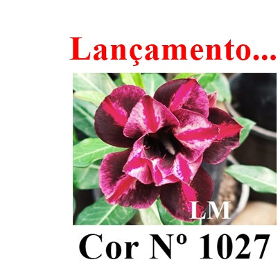 ENXERTO 12760 – 25cm (cor LM 1027)