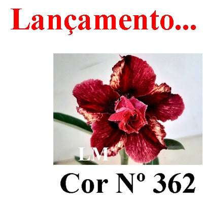 ENXERTO 12814 – 20cm (cor LM 362)