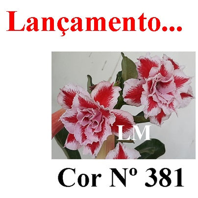 ENXERTO 12823 – 25cm (cor LM 381)