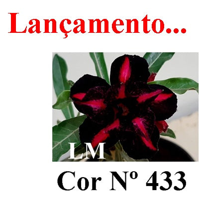 ENXERTO 12827 – 25cm (cor LM 433)