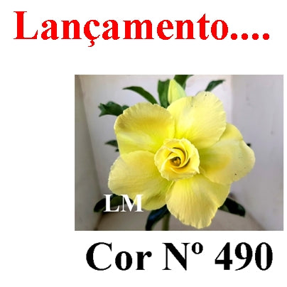 ENXERTO 12807 – 20cm (cor LM 490)