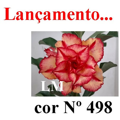 ENXERTO 12734 – 20cm (cor LM 498)