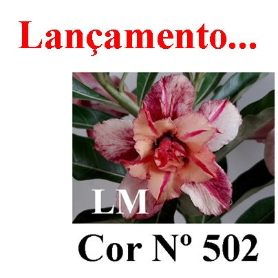 ENXERTO 12863 – 25cm (cor LM 502)