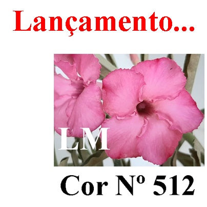 ENXERTO 12779 – 25cm (cor LM 512)