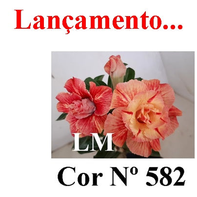 ENXERTO 12787 – 25cm (cor LM 582)