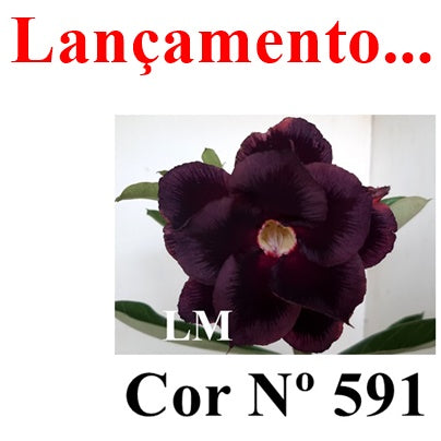 ENXERTO 12731 – 25cm (cor LM 591)