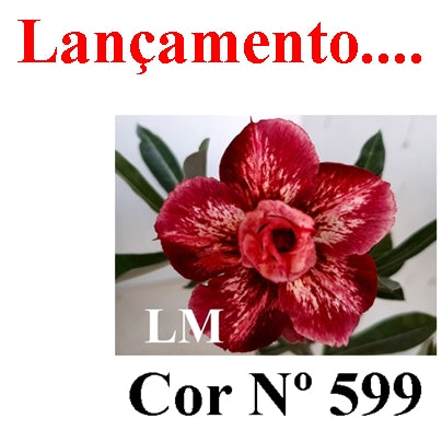 ENXERTO 12817 – 25cm (cor LM 599)