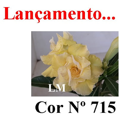 ENXERTO 12819 – 30cm (cor LM 715)