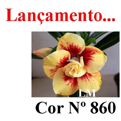 ENXERTO 12773 – 20cm (cor LM 860)