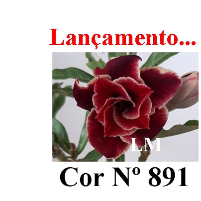 ENXERTO 12775 – 25cm (cor LM 891)