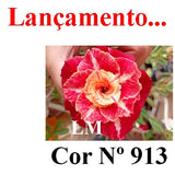 ENXERTO 12686 – 20cm (cor LM 913)