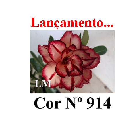 ENXERTO 12777 – 20cm (cor LM 914)