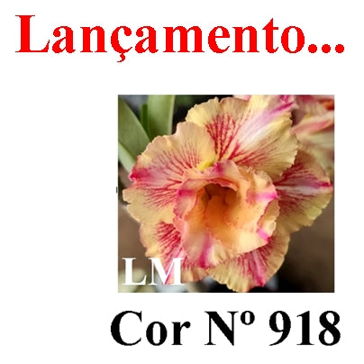 ENXERTO 12743 – 20cm (cor LM 918)