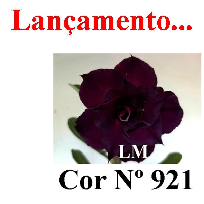 ENXERTO 12825 – 30cm (cor LM 925)