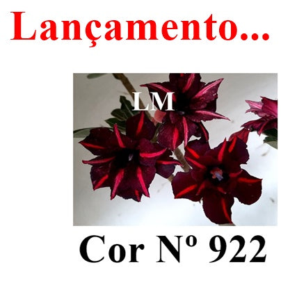ENXERTO 12841 – 30cm (cor LM 922)