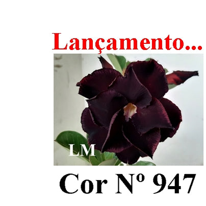 ENXERTO 12810 – 30cm (cor LM 947)