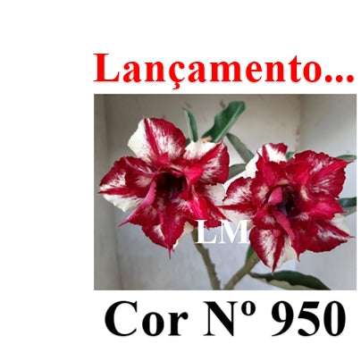 ENXERTO 12793 – 25cm (cor LM 950)