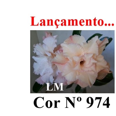 ENXERTO 12767 – 20cm (cor LM 974)