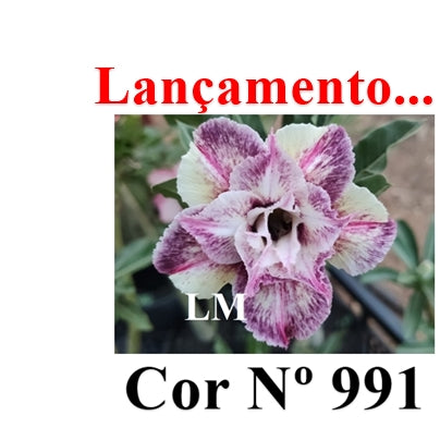 ENXERTO 12764 – 20cm (cor LM 991)