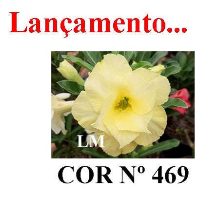 ENXERTO 12855 – 25cm (cor LM 469)