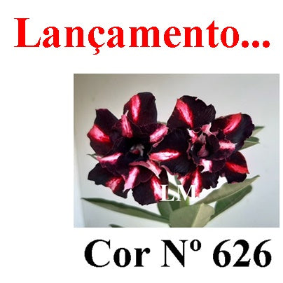 ENXERTO 12861 – 25cm (cor LM 626)