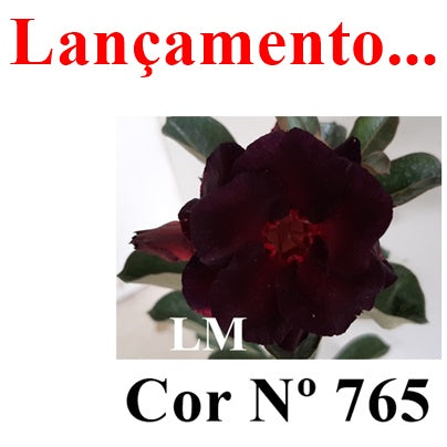 ENXERTO 12862 – 30cm (cor LM 765)
