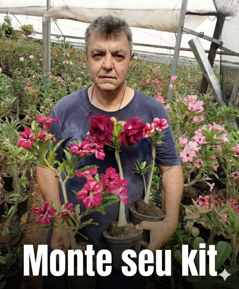 Kits Promocionais (Cores Sortidas)